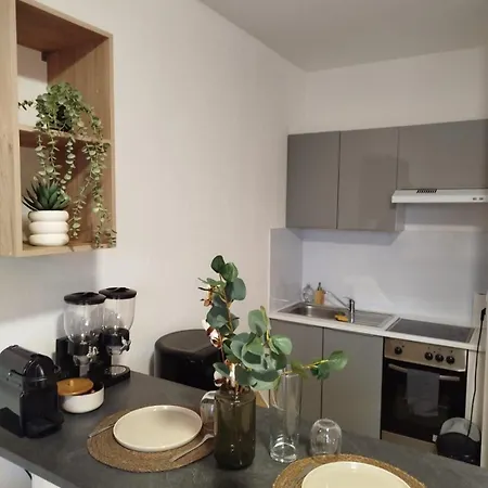 Cosy Centre A 20min De Geneve