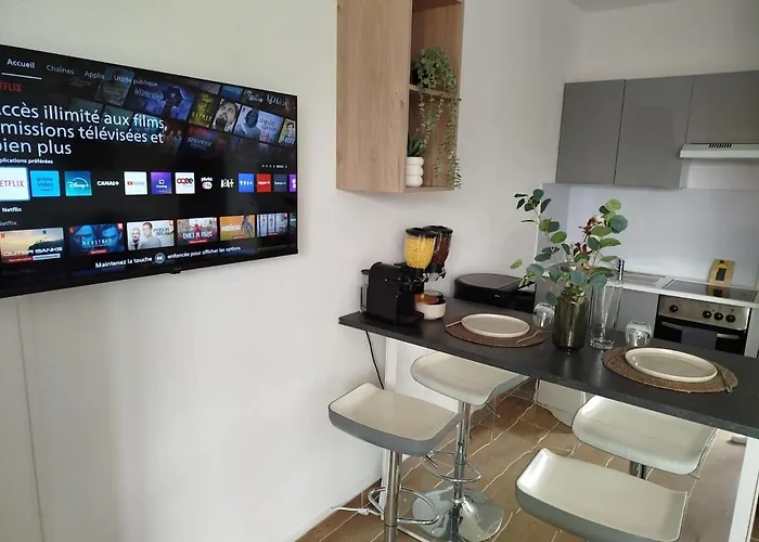 Cosy Centre A 20min De Geneve דירה