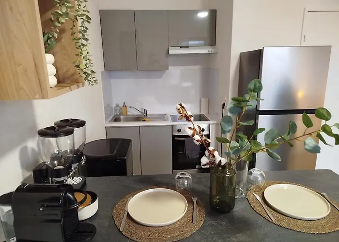 Cosy Centre A 20min De Geneve אנמסה