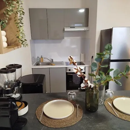 Cosy Centre A 20min De Geneve אנמסה