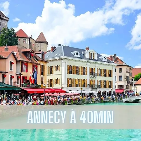 Cosy Centre A 20min De Geneve אנמסה