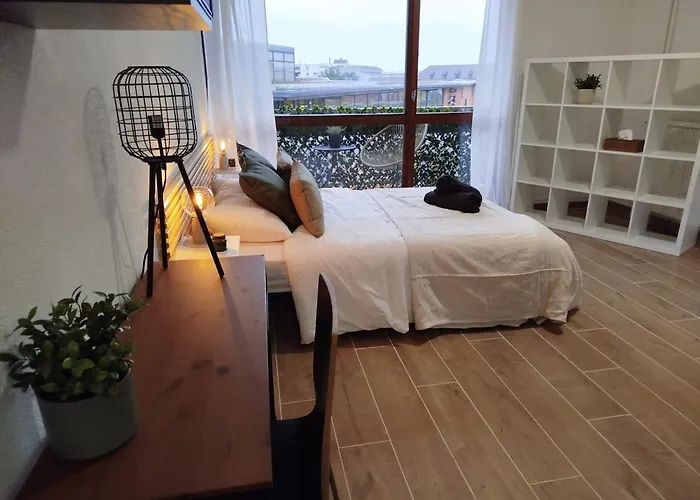 Cosy Centre A 20min De Geneve * Annemasse